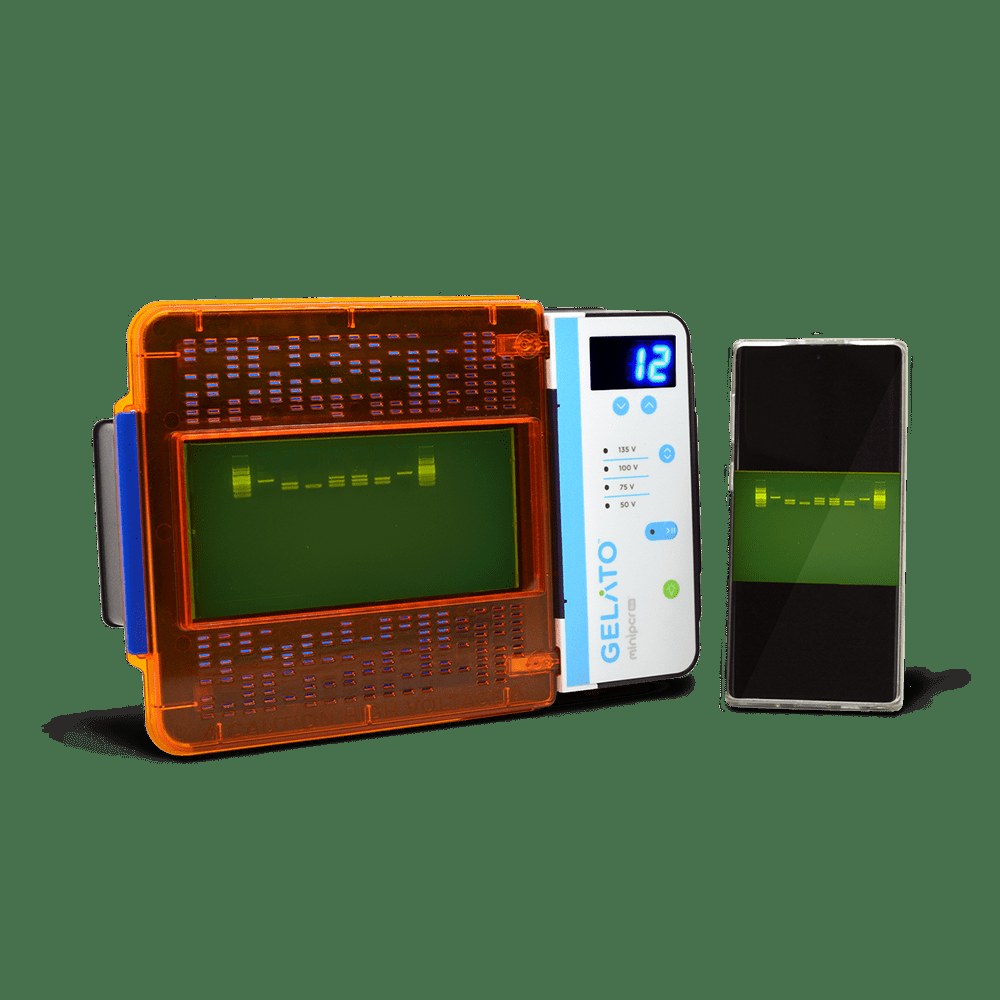 Gel Electrophoresis Machine