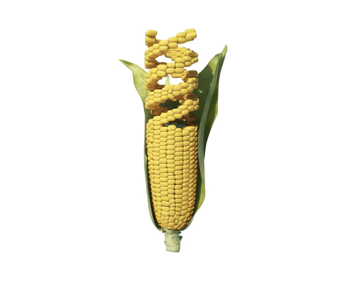 GMO Detection Lab