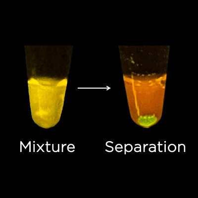 How to bring hands-on protein expression and purification to your classroom