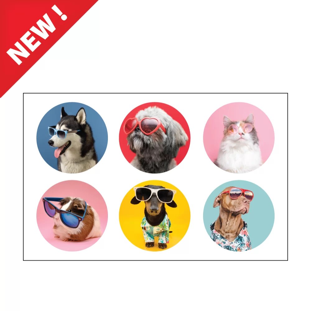 Assorted Pets w/Sunglasses – Nev's Ink, Inc.