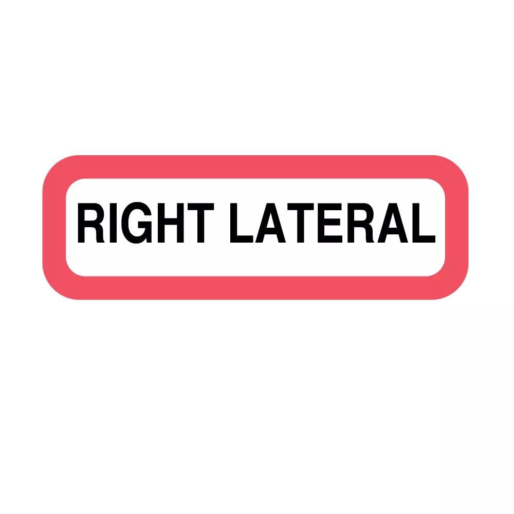 Position Labels – Right Lateral – Nev's Ink, Inc.