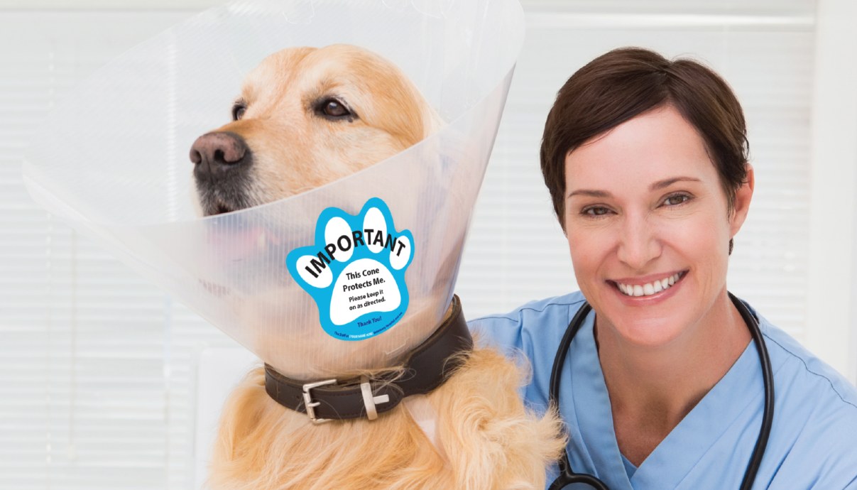 Veterinary Board & Care Labels