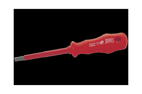 Screwdriver for allen head screws 1000V