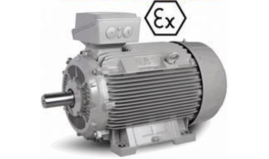 ATEX-Motoren Staub