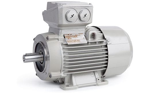 Multi speed motor
