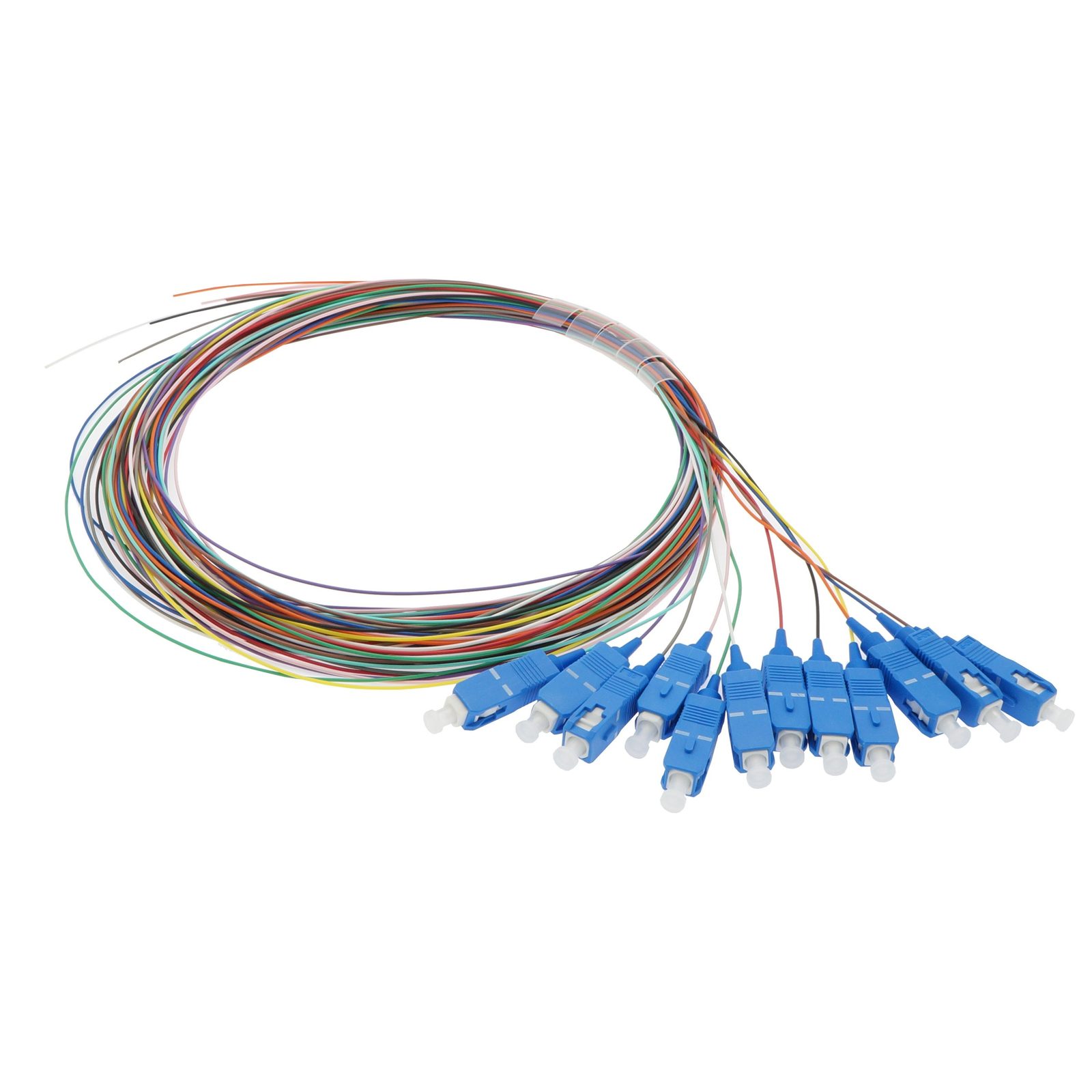12 Fiber Non-Jacketed Pigtails  Fiber Optic Products  Network Cables&#