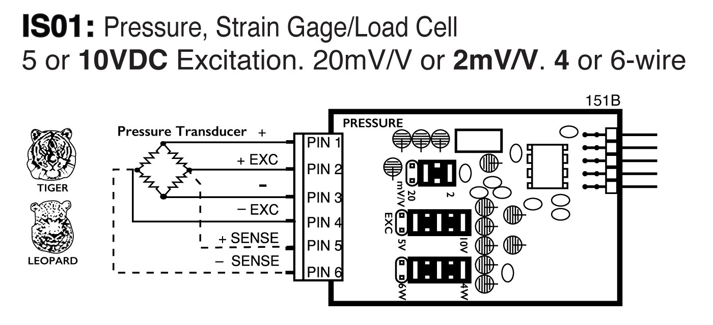 IS01 Input Module for BL-40