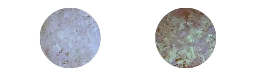 Aged Flakes Sorter ToronGU™ Series