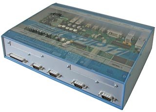 PIP11
