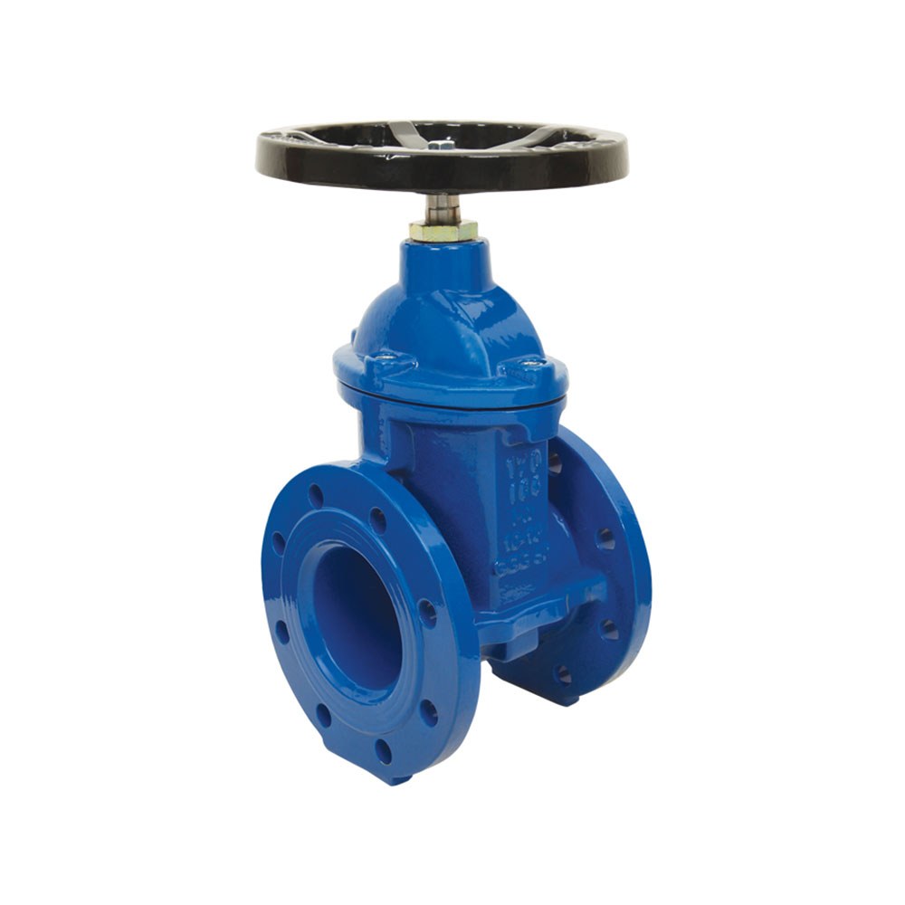 Resilient Seated Gate Valve