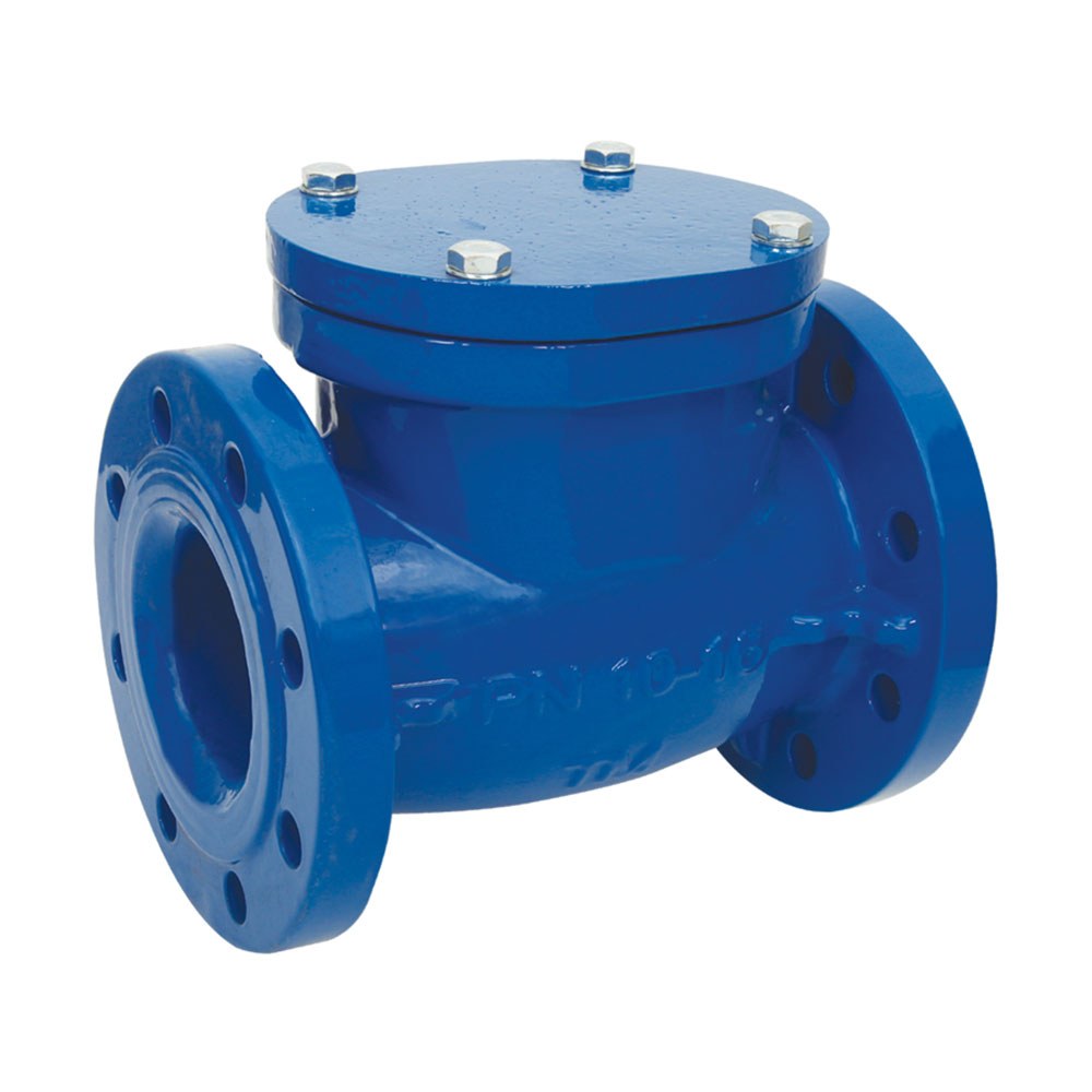 Swing Check Valve