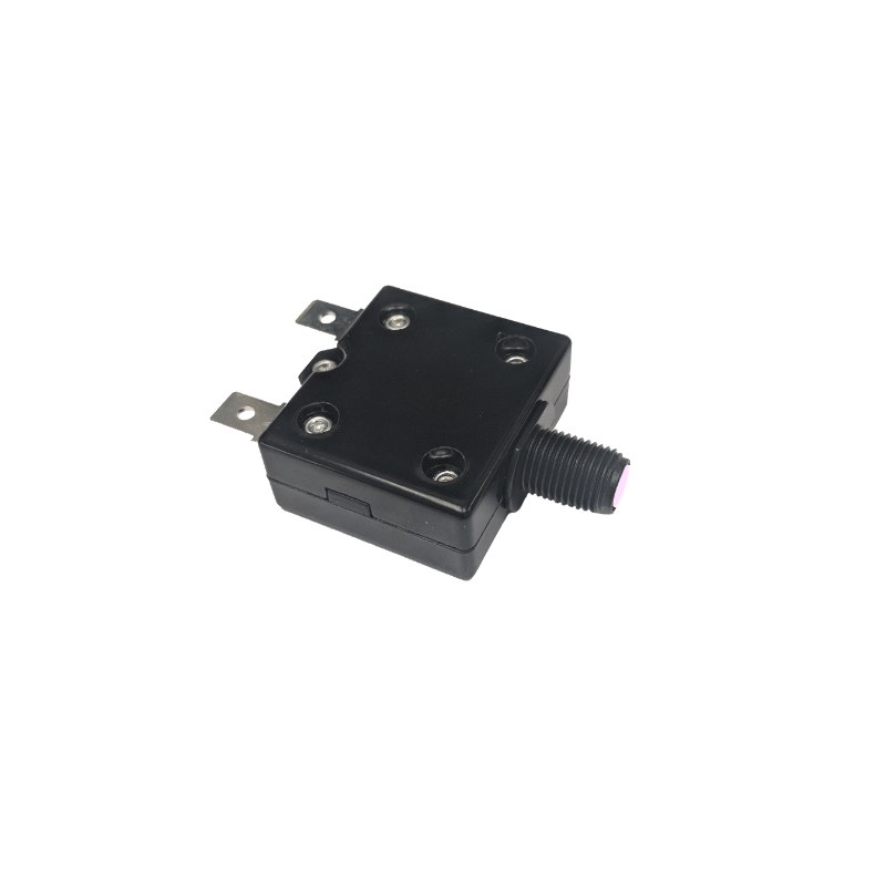 10A Circuit Breaker P/N: 2807