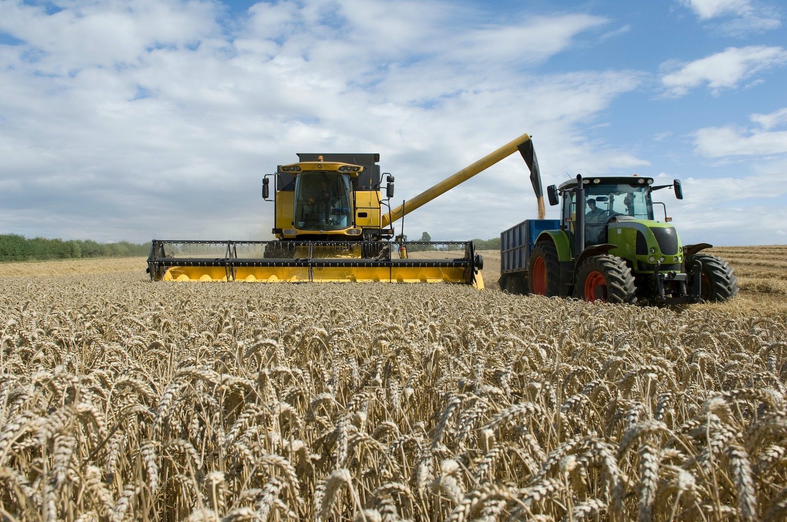 Agrarindustrie