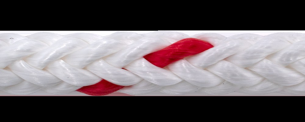PolyPlus Braid