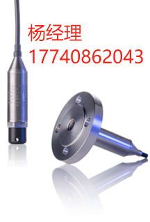 英国 PSM Instrumentation 数字液位变送器 APT1000 适用于海洋和工业应用的模拟液位变送器