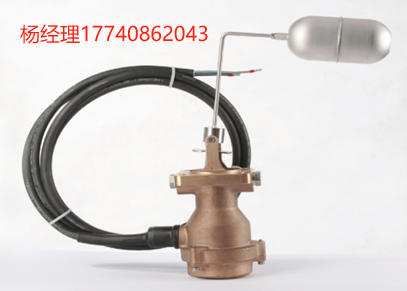 英国 PSM Instrumentation LSA系列浮子液位开关
