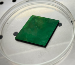 瑞士 Rainbow Photonics 电光晶体 DSTMS
