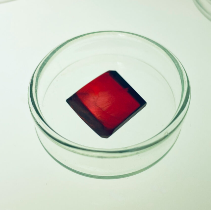 瑞士Rainbow Photonics OH1电光有机晶体 高品质有机晶体