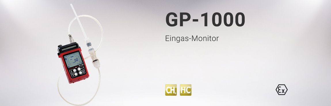 德国 RKI Analytical Instruments GP-1000 Eingas-Monitor  GP-1000单气体监测仪