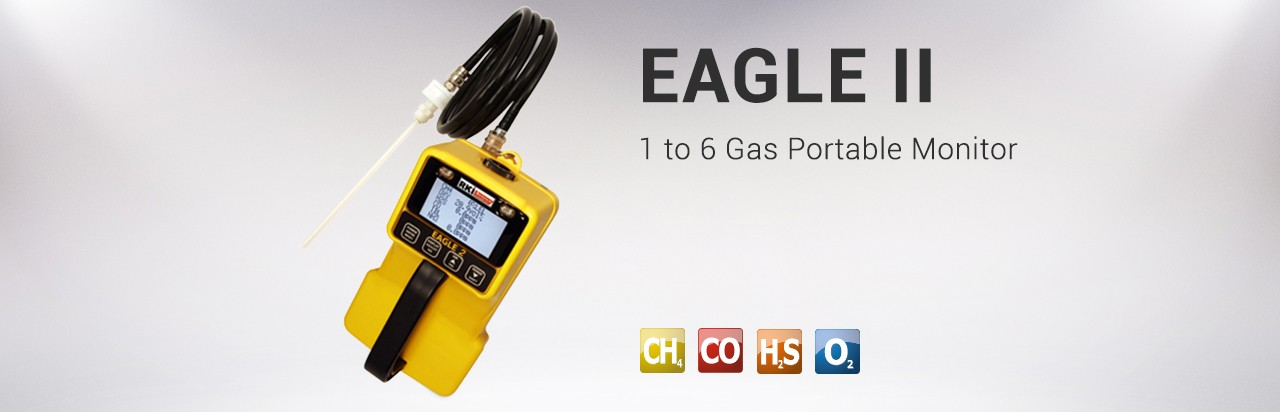 德国 RKI Analytical Instruments EAGLE II 1 to  6 Gas Portable Monitor EAGLE II 便携式气体监测仪