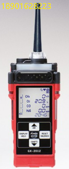 德国 RKI Analytical GX-2012 5-in-1 Gas Monitor GX-2012五合一气体监测仪