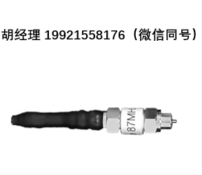 Sat-kabel LS-87泄漏点探头（87.265 MHz，有源），用于CATV系统中的泄漏点查找
