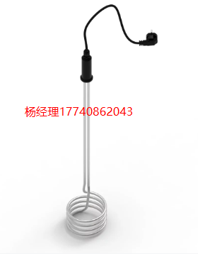 德国 Schniewindt CSN® EIT 型 工业浸没式加热器