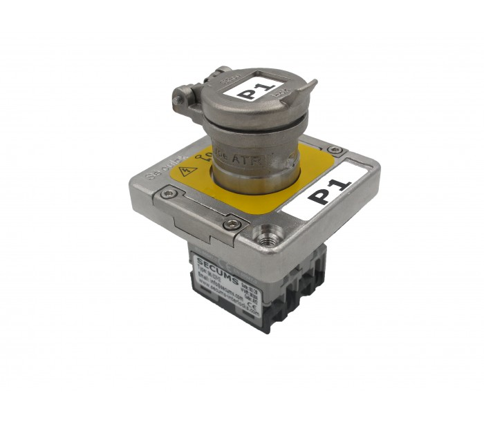 法国SECUMS INTERLOCKS 钥匙开关联锁SWL
