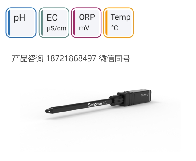 荷兰 SENTRON ConeFET pH/EC/ORP/T 测量探头