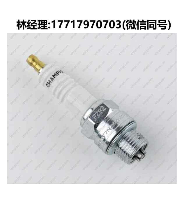 Champion代理,640 RM77N工业级火花塞