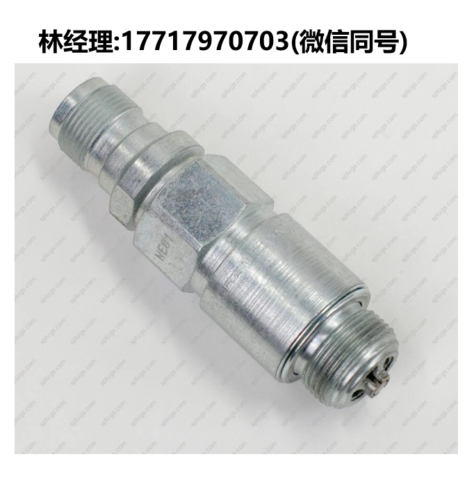 Champion代理,582 RW82P/580 W80N/579 RHW79N火花塞