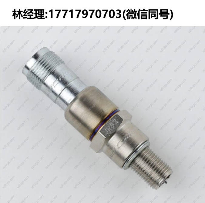 Champion进口代理,548 RTM79/556 RTL85G/575 RHN79G火花塞