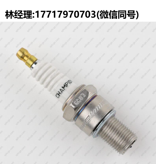 Champion一级代理,242 RB75WPCC/519 RM77N/530 RN79G火花塞