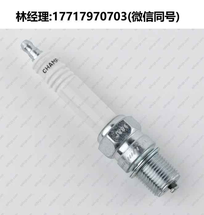 Champion进口代理,227 FI21505/233 RM82WPCC/237 RB77CC火花塞