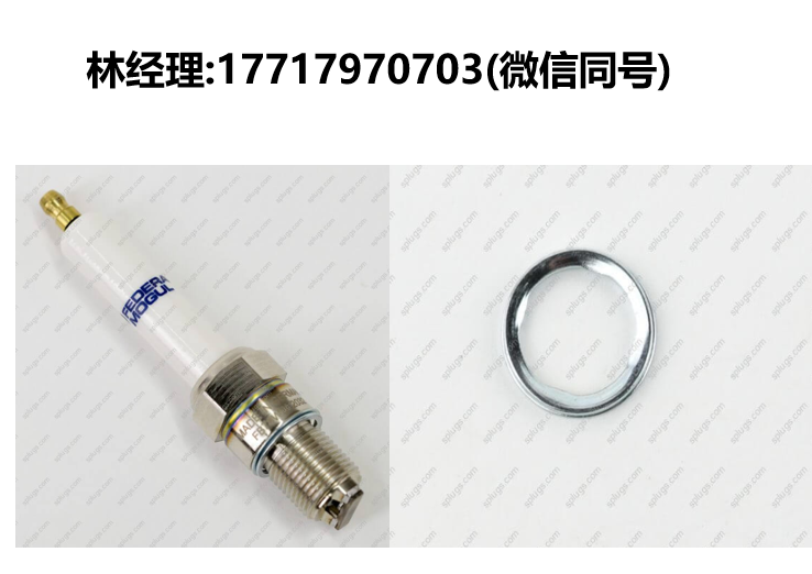 Champion进口代理,FB78WW/A678/N678火花塞,垫圈