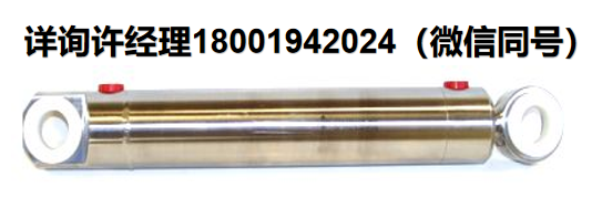 SSH Stainless  SR20 NN 不锈钢液压缸、SSH液压缸、SSH不锈钢液压缸、SSH代理