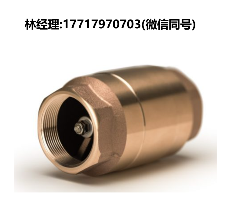 Strataflo Products,止回阀,No400,400-075,400-150,400-200