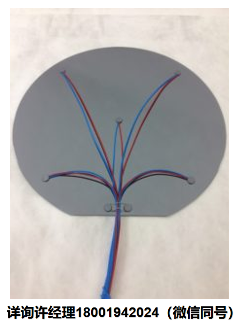 美国Thermo Electric  高达1200°C的晶圆  TC-1200  晶圆传感器、硅晶圆晶片、半导体晶圆、耐高温晶圆、晶圆电阻温度探测器、晶圆电阻