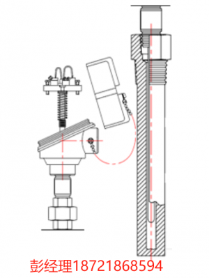 美国THERMO ELECTRIC 电阻温度探测器 RTDs