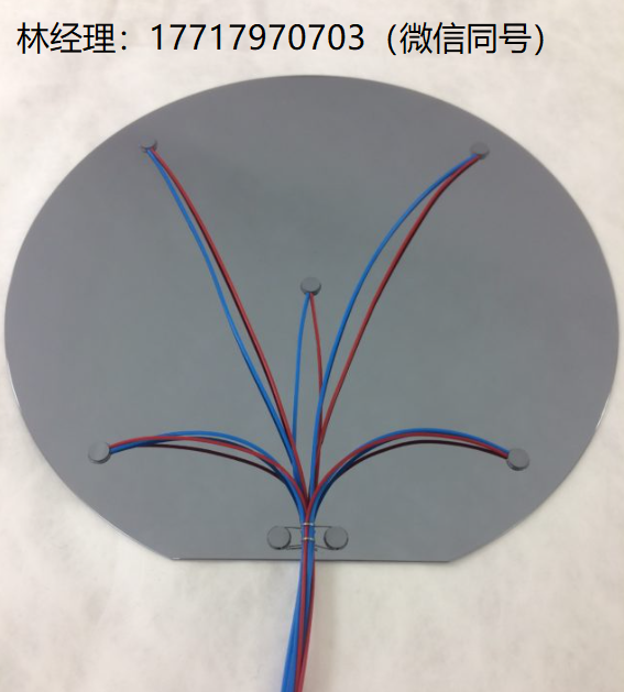 Thermo Electric,TC-1200,TC WAFER,高温/高纯度晶圆,用于需要精确测量和控制硅晶圆表面温度的场景