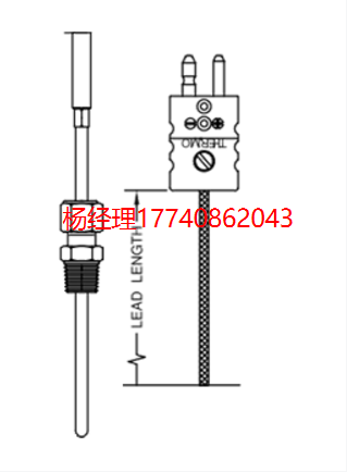 美国 Thermo Electric 热电偶 带玻璃纤维引线的热电偶