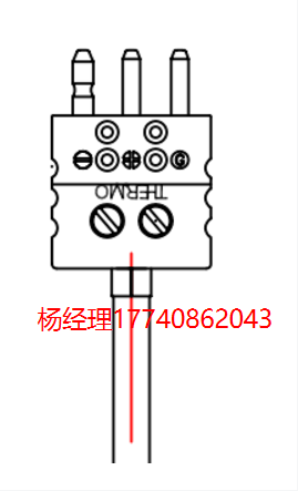 美国 Thermo Electric 热电偶 带快速断开连接器的探头 浸入式