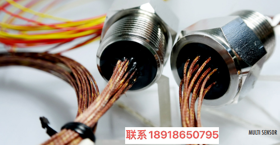 RTD – 引线配置，Thermotron-Ce Technology,温度传感器,热电偶,RTD,热敏电阻,热电偶套管,浮子液位开关,温度控制系统