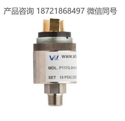 美国 Whitman Controls P117G – 不锈钢体压力开关