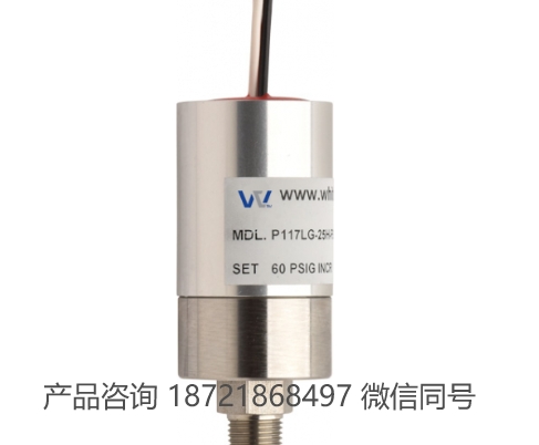 美国 Whitman Controls P117LG Long Body NEMA 4 压力开关