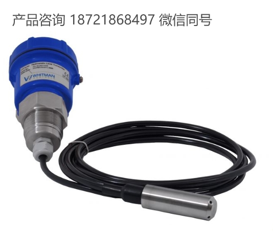 美国 Whitman Controls L95 系列静压式液位变送器